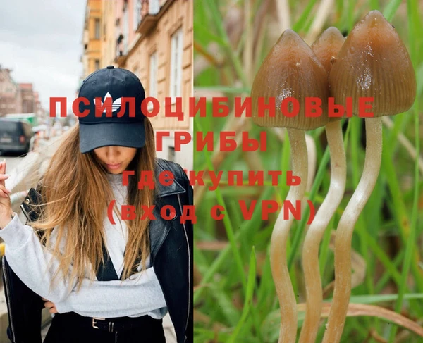 бутират Бугульма
