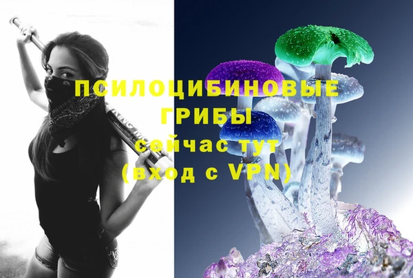 бошки Бронницы