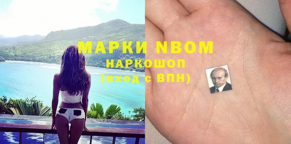 бошки Бронницы