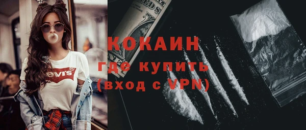 бошки Бронницы