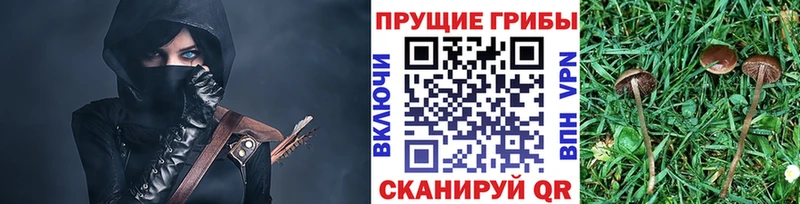 Псилоцибиновые грибы MAGIC MUSHROOMS  купить  цена  Гулькевичи 